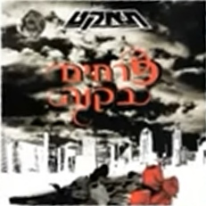 פרחים בקנה