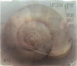 הכחול האפור הזה סינגל.jpg