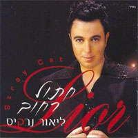 חתול רחוב