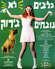 כלבים לא נובחים בירוק