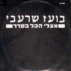 אצלי הכול בסדר בעז שרעבי.jpg