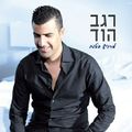 תמונה ממוזערת לגרסה מתאריך 11:17, 11 באוקטובר 2013