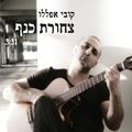 תמונה ממוזערת לגרסה מתאריך 11:00, 11 באוקטובר 2013