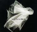 תמונה ממוזערת לגרסה מתאריך 10:58, 11 באוקטובר 2013