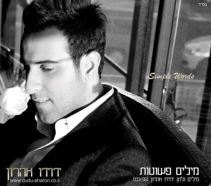 קובץ:מילים פשוטות סינגל.jpg
