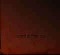 בין הצללים.jpg